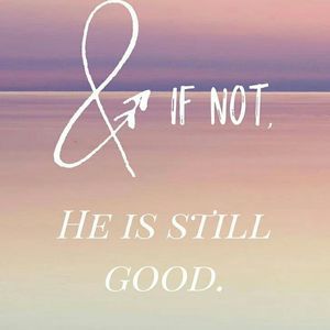 Meet your Posher, Aribi